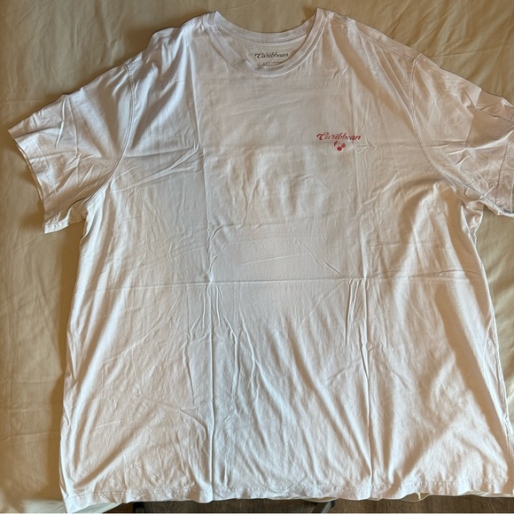 Caribbean light blue Cotton T-Shirt - Picture 2 of 4